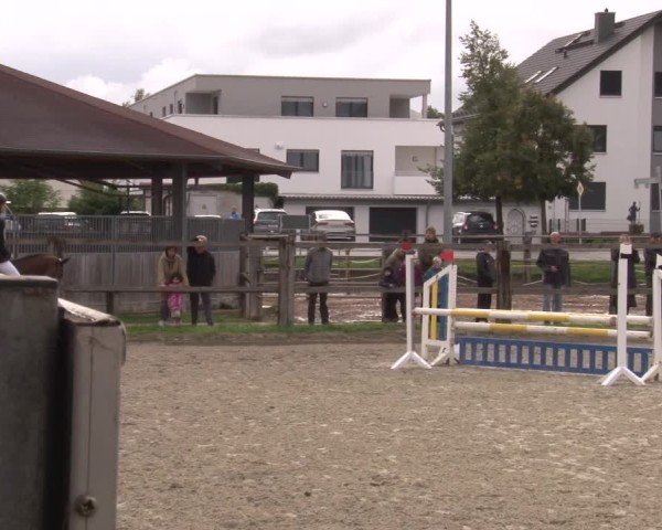 Reitturnier Poxdorf/Ofr 2024
