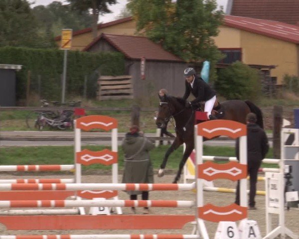 Reitturnier Poxdorf/Ofr 2024