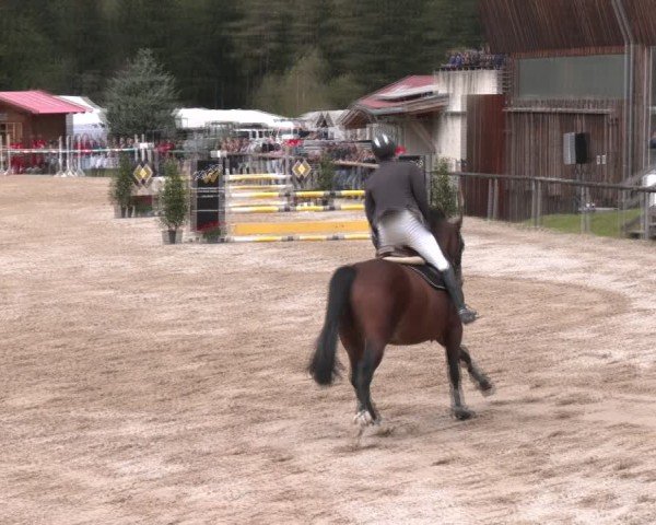 Reitturnier Igls 2024