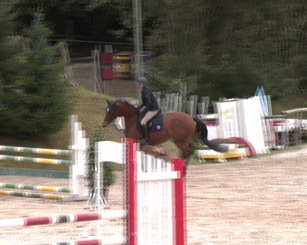Reitturnier Igls 2024