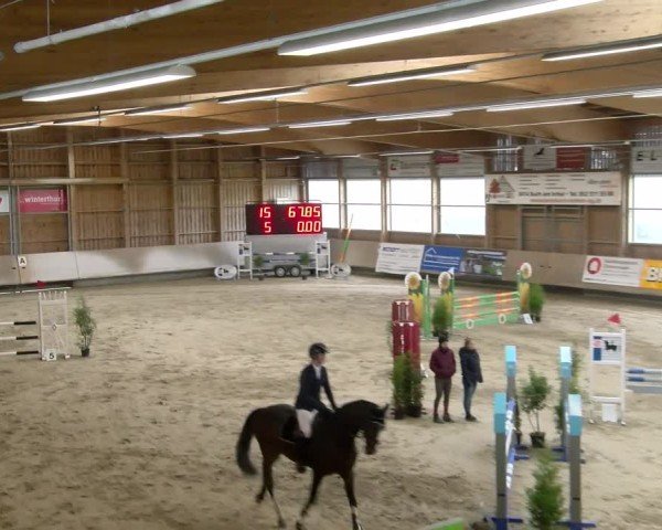 Reitturnier Winterthur 2024