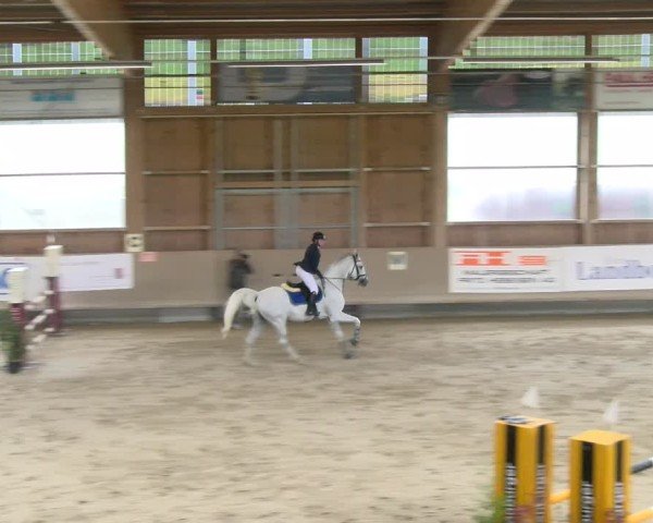 Reitturnier Winterthur 2024