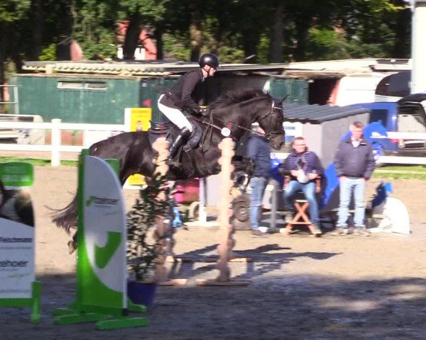 Reitturnier Mildstedt - Jumping Team Nord - 2024