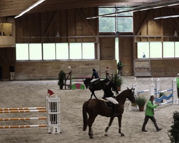 Reitturnier Rüti 2021