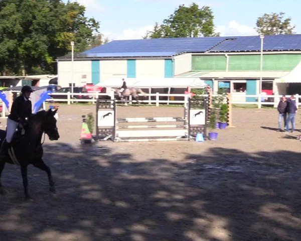 Reitturnier Mildstedt - Jumping Team Nord - 2024