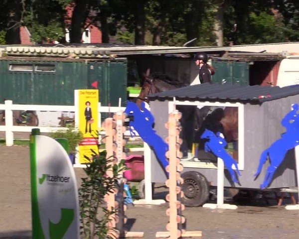Reitturnier Mildstedt - Jumping Team Nord - 2024