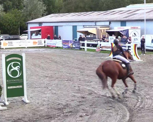 Reitturnier Mildstedt - Jumping Team Nord - 2024