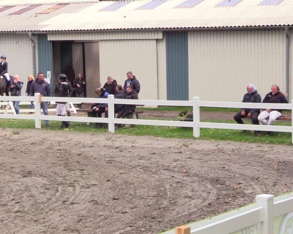 Reitturnier Mildstedt - Jumping Team Nord - 2024