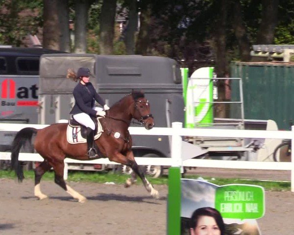 Reitturnier Mildstedt - Jumping Team Nord - 2024