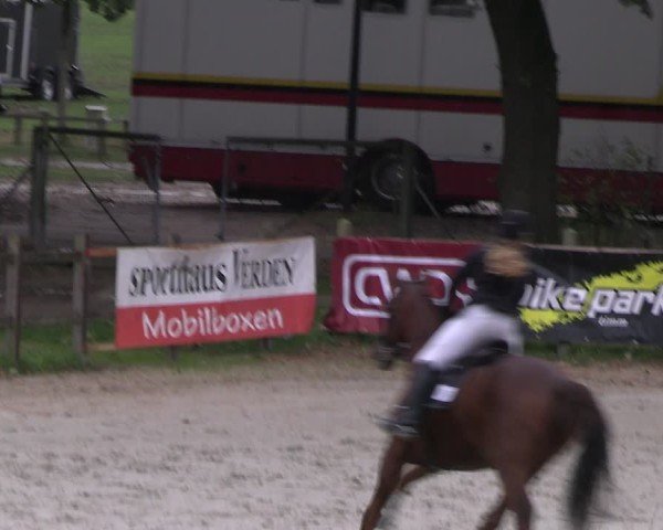 Reitturnier Westergellersen 2024