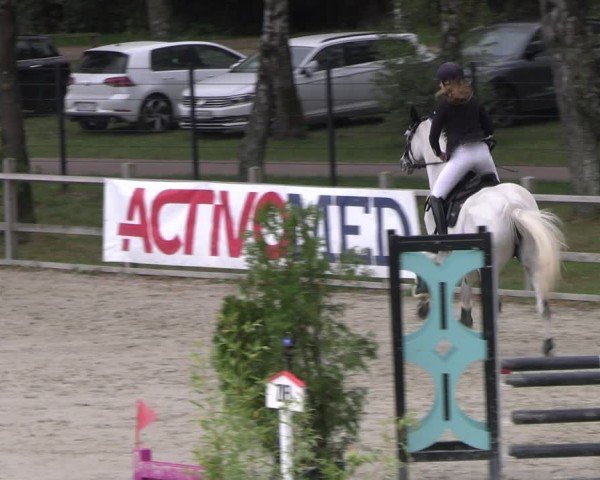 Reitturnier Westergellersen 2024