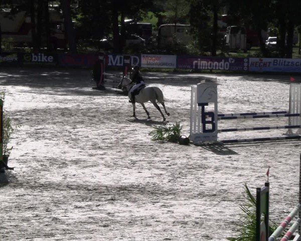 Reitturnier Westergellersen 2024
