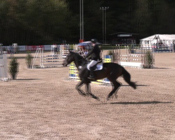 Reitturnier Igls 2024