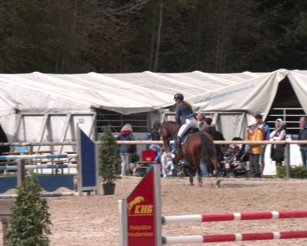 Reitturnier Igls 2024