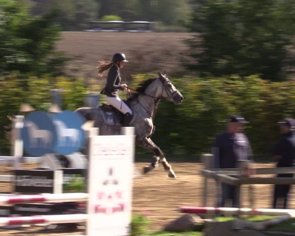 Reitturnier Baitz 2024