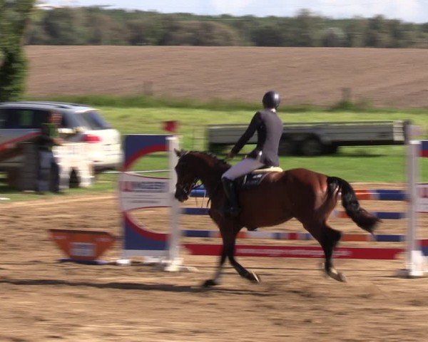 Reitturnier Baitz 2024