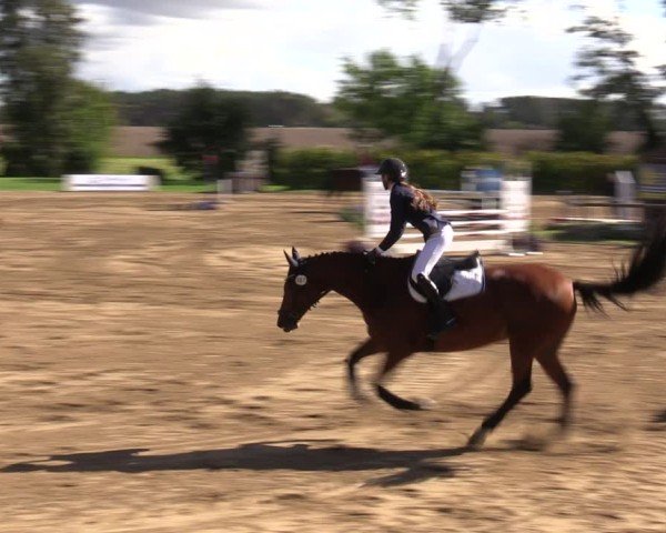 Reitturnier Baitz 2024