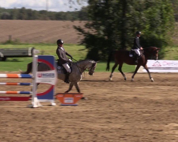Reitturnier Baitz 2024