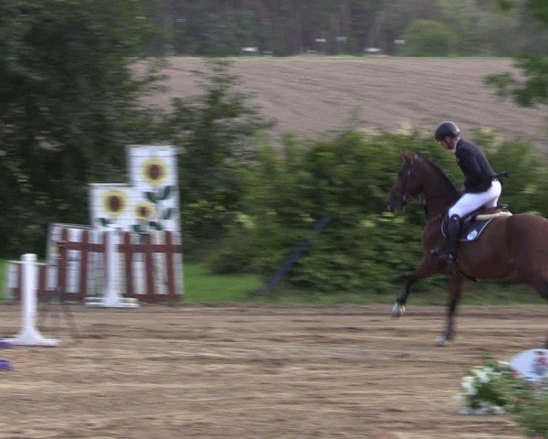 Reitturnier Baitz 2024