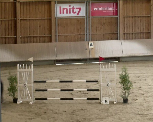 Reitturnier Winterthur 2024