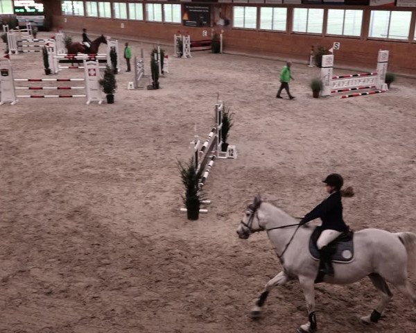 Reitturnier Rüti 2021