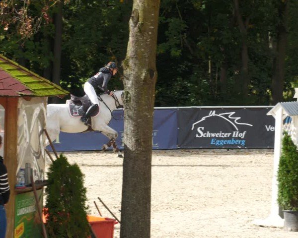 Reitturnier Karlsfeld/Obb. 2024