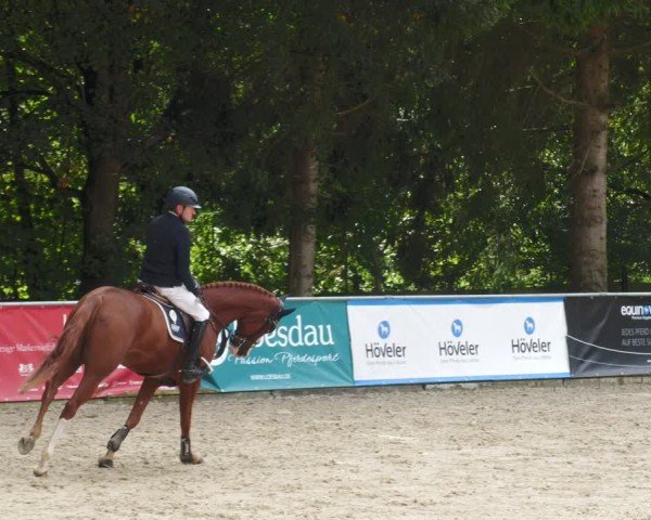 Reitturnier Karlsfeld/Obb. 2024