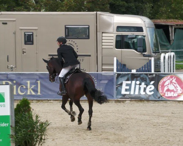 Reitturnier Karlsfeld/Obb. 2024