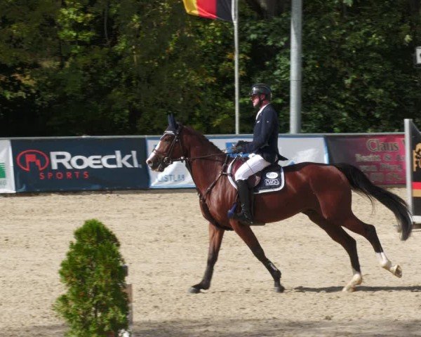 Reitturnier Karlsfeld/Obb. 2024