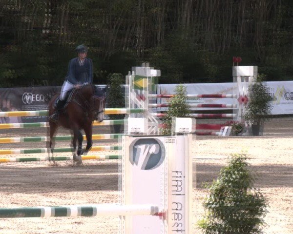 Reitturnier Igls 2024