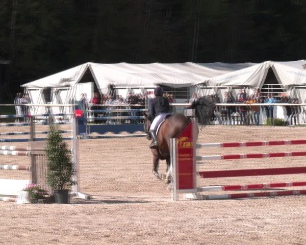 Reitturnier Igls 2024