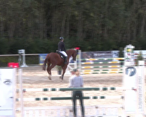 Reitturnier Igls 2024