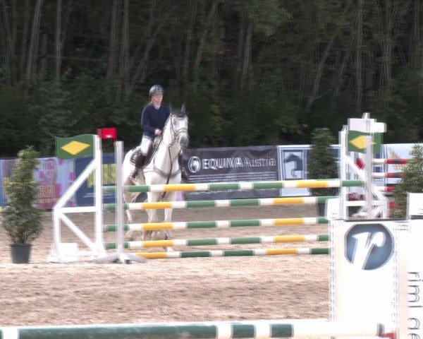 Reitturnier Igls 2024