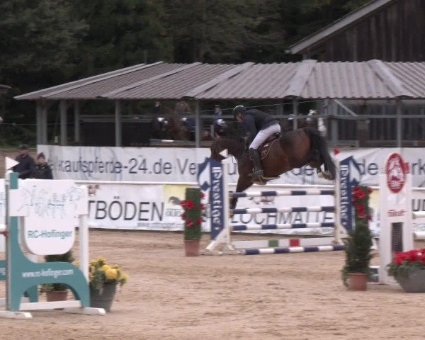 Reitturnier Ranshofen - Braunau am Inn 2024