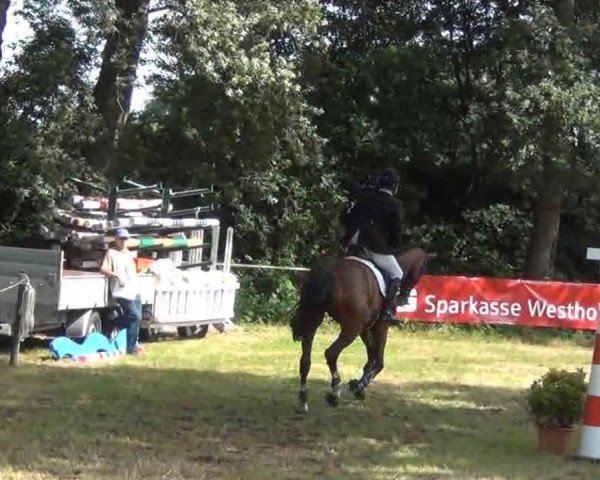 Herfart, Jubiläumsturnier m.Kreismeisterschaften d.RB Steinburg 2013