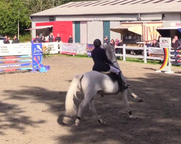 Reitturnier Mildstedt - Jumping Team Nord - 2024