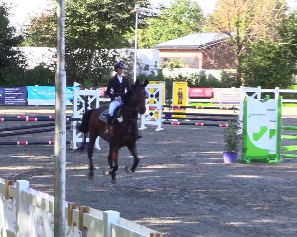 Reitturnier Mildstedt - Jumping Team Nord - 2024