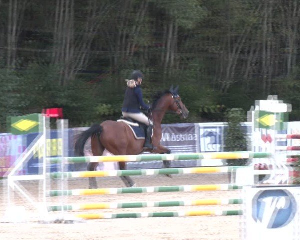 Reitturnier Igls 2024