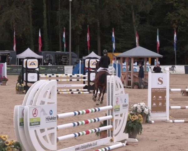 Reitturnier Ranshofen - Braunau am Inn 2024