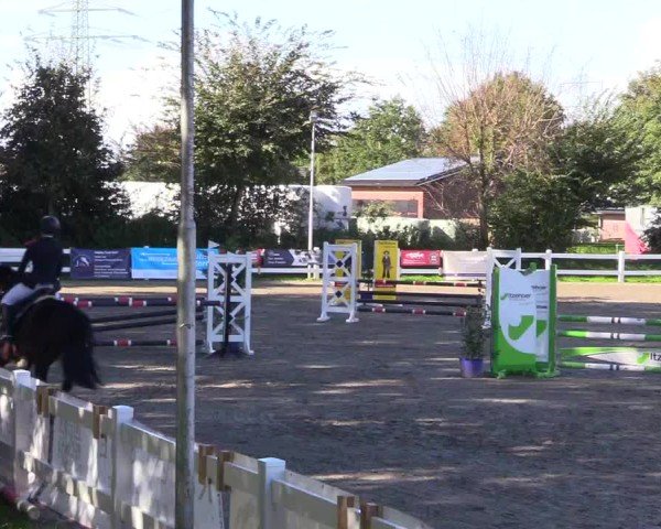 Reitturnier Mildstedt - Jumping Team Nord - 2024