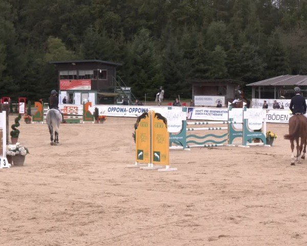 Reitturnier Ranshofen - Braunau am Inn 2024