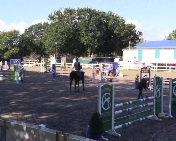 Reitturnier Mildstedt - Jumping Team Nord - 2024