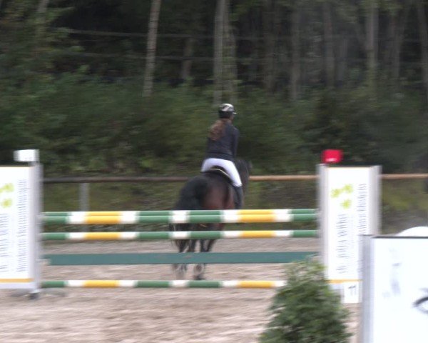 Reitturnier Igls 2024