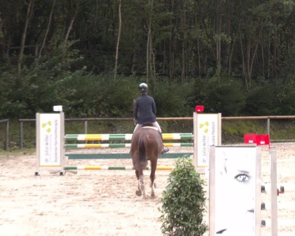 Reitturnier Igls 2024