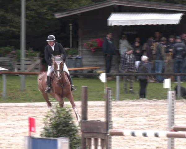 Reitturnier Igls 2024