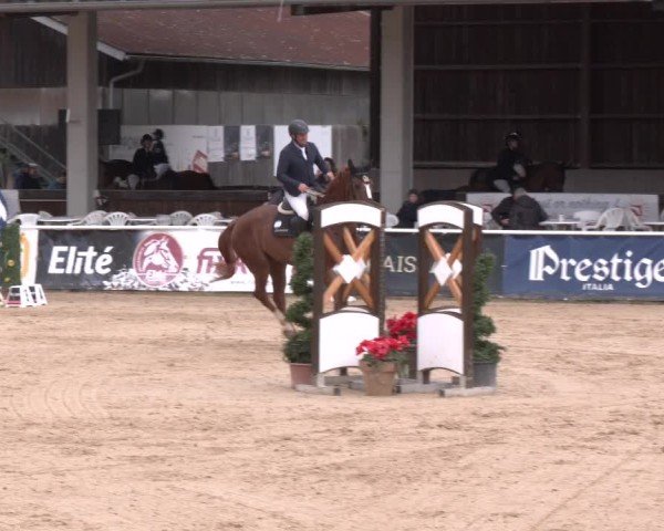 Reitturnier Ranshofen - Braunau am Inn 2024