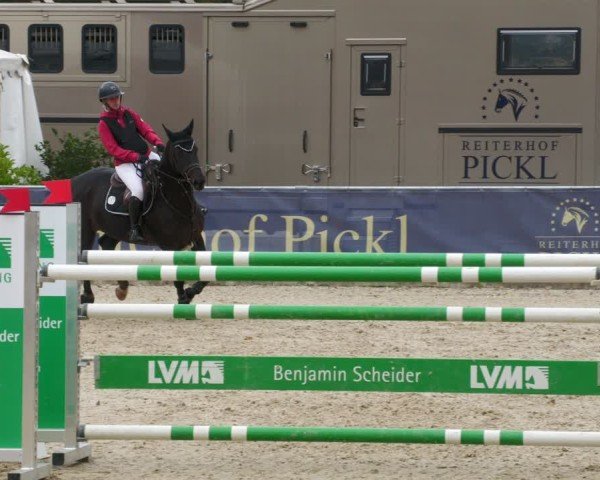 Reitturnier Karlsfeld/Obb. 2024