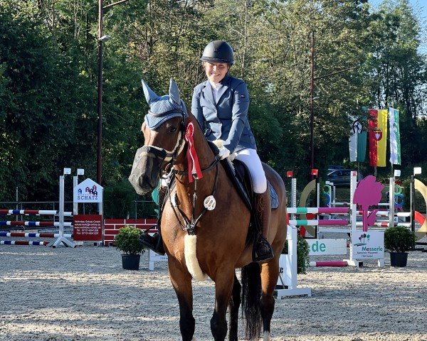 jumper Con Chelina (German Sport Horse, 2015, from Con Chello)