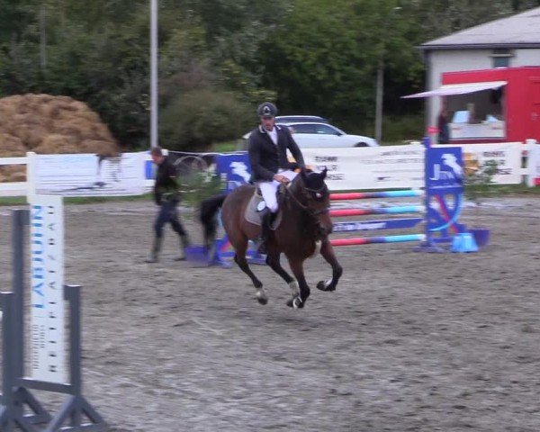 Reitturnier Mildstedt - Jumping Team Nord - 2024