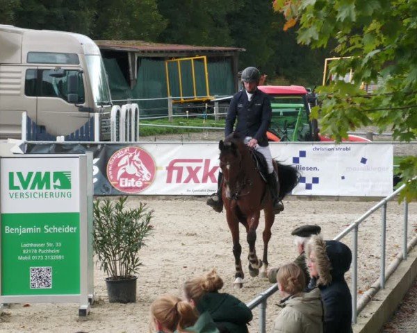 Reitturnier Karlsfeld/Obb. 2024